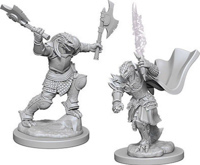 D&D: Nolzur's Marvelous Miniatures - Dragonborn Female Fighter W4