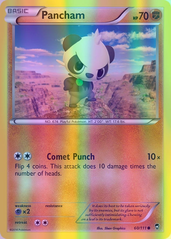 Pancham - 060/111 (FFI) Common - Near Mint Reverse Holofoil