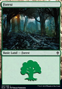 Forest [#267] (ELD-C)