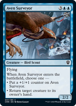 Aven Surveyor (CMR-C)