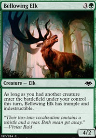 Bellowing Elk (MH1-C)
