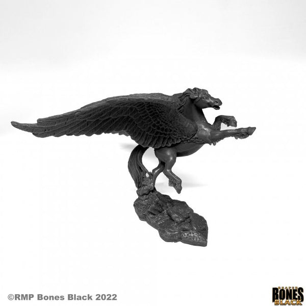 Bones 44177: Pegasus