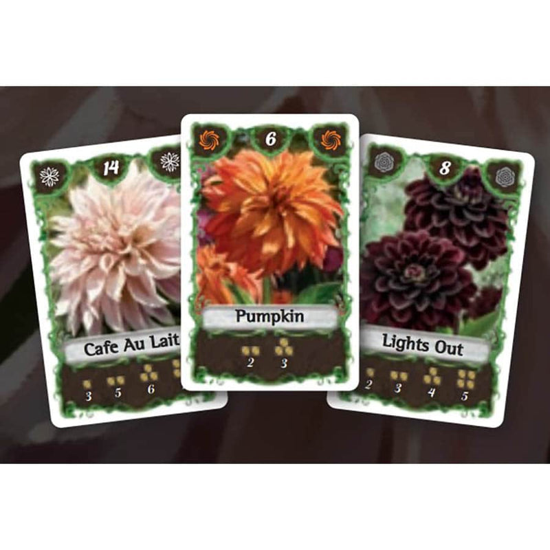 Bohnanza Dahlias