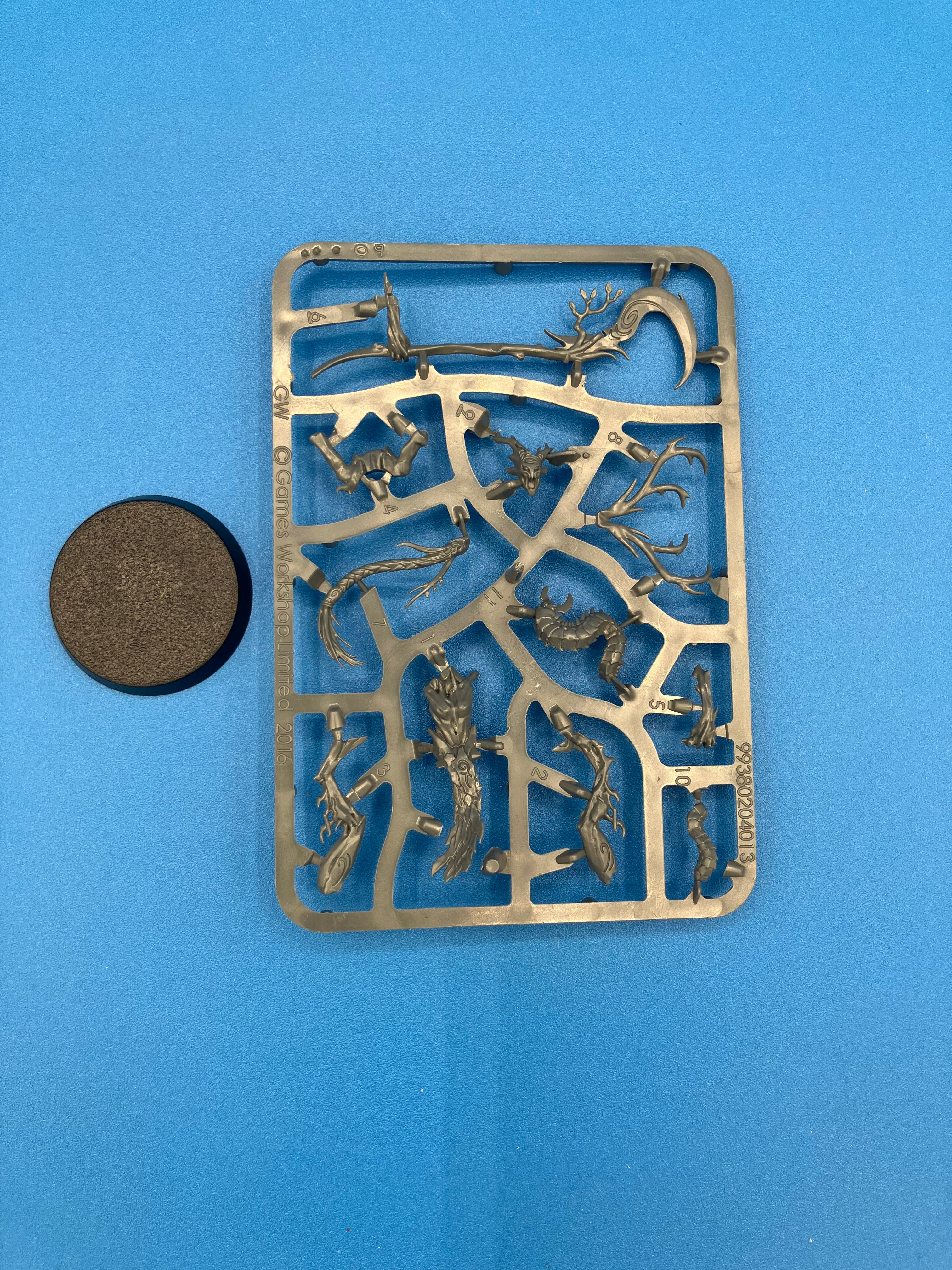 Age of Sigmar: Sylvaneth - Branchwych (USED) (On Sprue) Lot 1