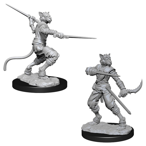 D&D: Nolzur's Marvelous Miniatures - Male Tabaxi Rogue W7