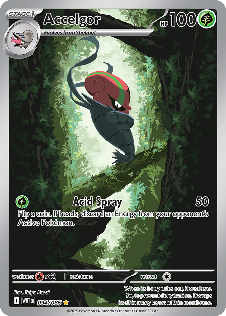 Accelgor - 094/086 (WHT) Illustration Rare