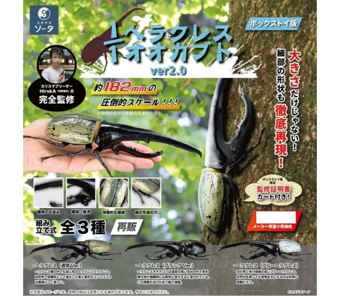 Hercules Beetle Ver.2.0 1/1 Scale Blind Box