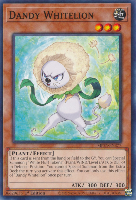 Dandy Whitelion (MP25-EN377)