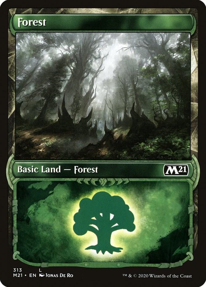 Forest [#313 Showcase] (M21-C-FOIL)
