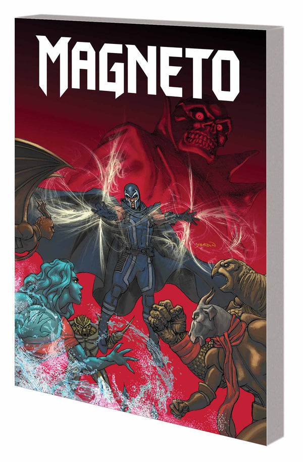 MAGNETO TP #2 REVERSALS