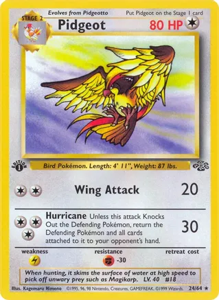 Pidgeot  - 24/64 (JU) Rare - Near Mint Unlimited
