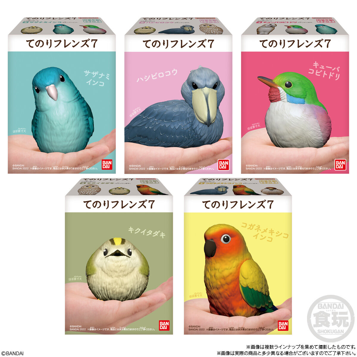 Bandai Shokugan: Tenori Friends - 7 Birds Blind Box
