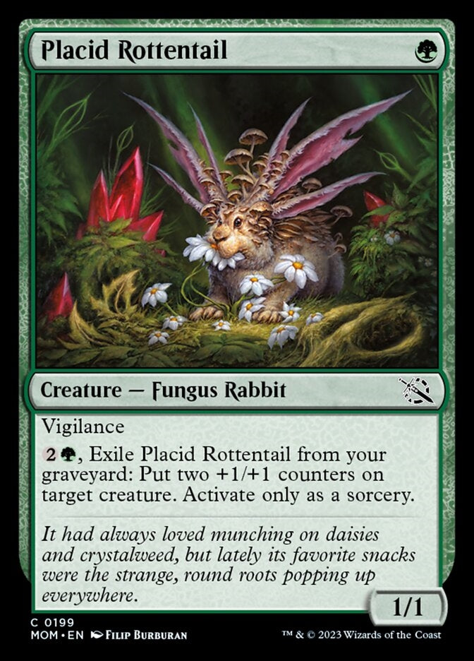 Placid Rottentail [