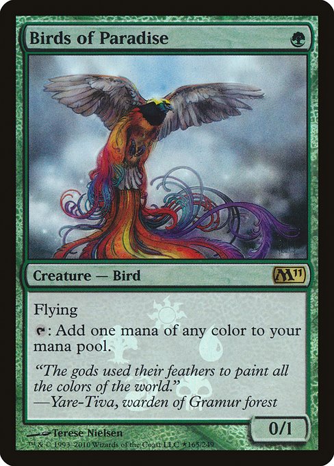 Birds of Paradise (M11-R-BAB)