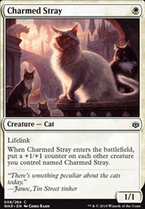 Charmed Stray (WAR-C)