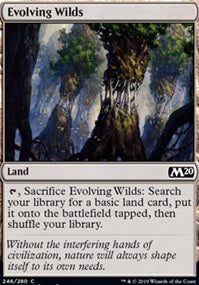 Evolving Wilds (M20-C)