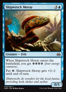 Shipwreck Moray (AER-C)