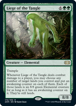 Liege of the Tangle (2XM-R)