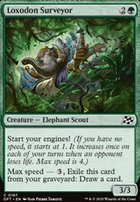 Loxodon Surveyor [ #0167 ] (DFT-C)