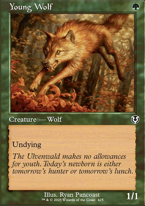 Young Wolf [ #0425 Retro Frame ] (INR-C-FOIL)