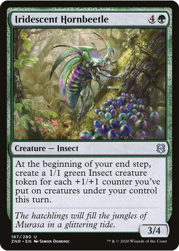 Iridescent Hornbeetle (ZNR-U)