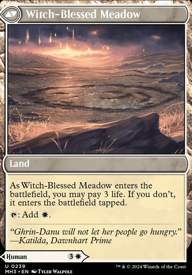 Witch Enchanter // Witch-Blessed Meadow [#0239] (MH3-U)