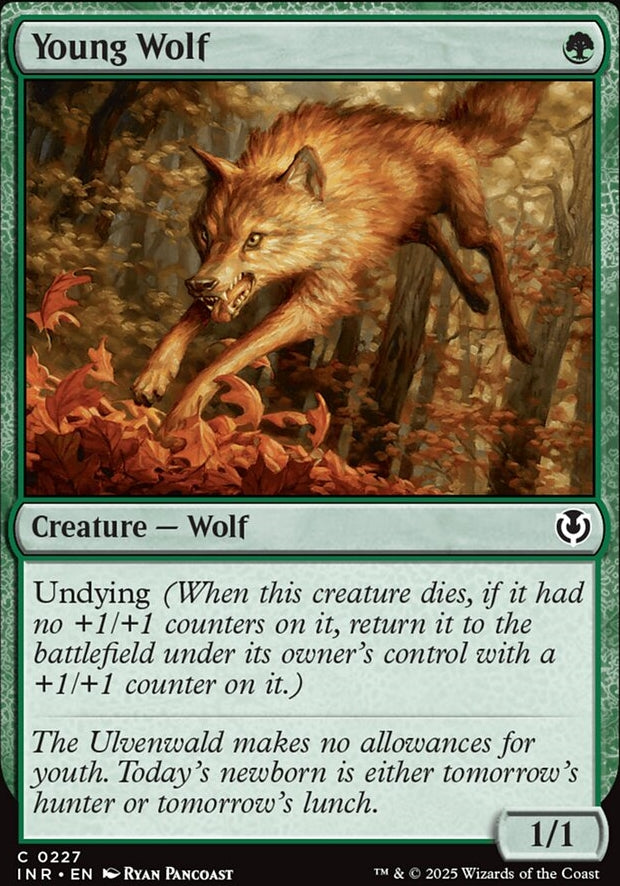 Young Wolf [ #0227 ] (INR-C)