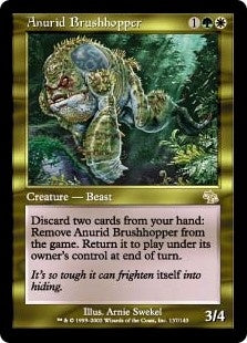 Anurid Brushhopper (JUD-R)