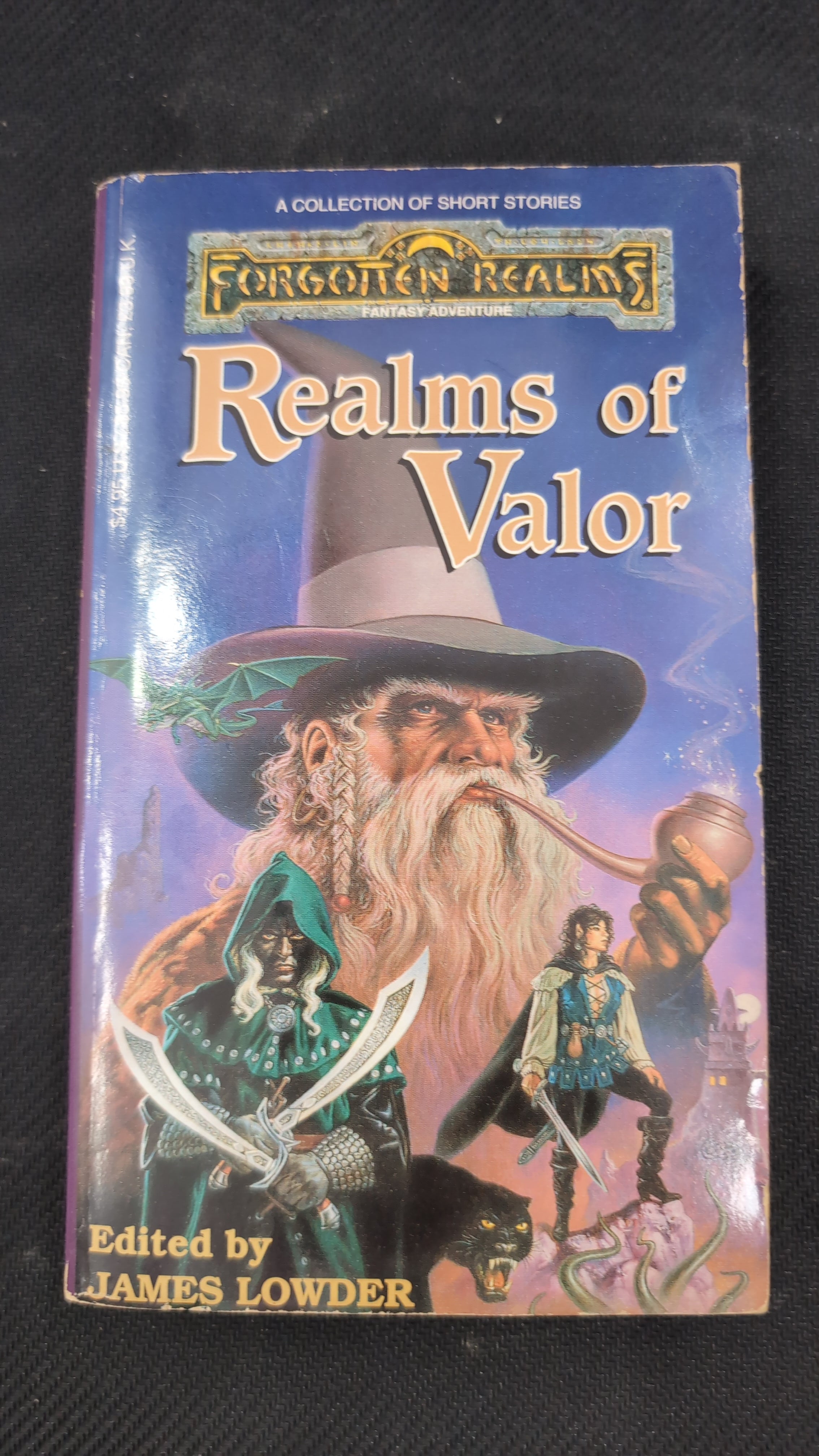 Forgotten Realms: Realms of Valor [ Paperback ] (USED)