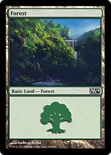 Forest [#249] (M14-C)