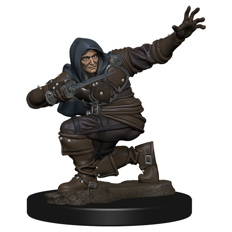 Pathfinder Battles: Premium Figure - Wave 01: Human Rogue Male