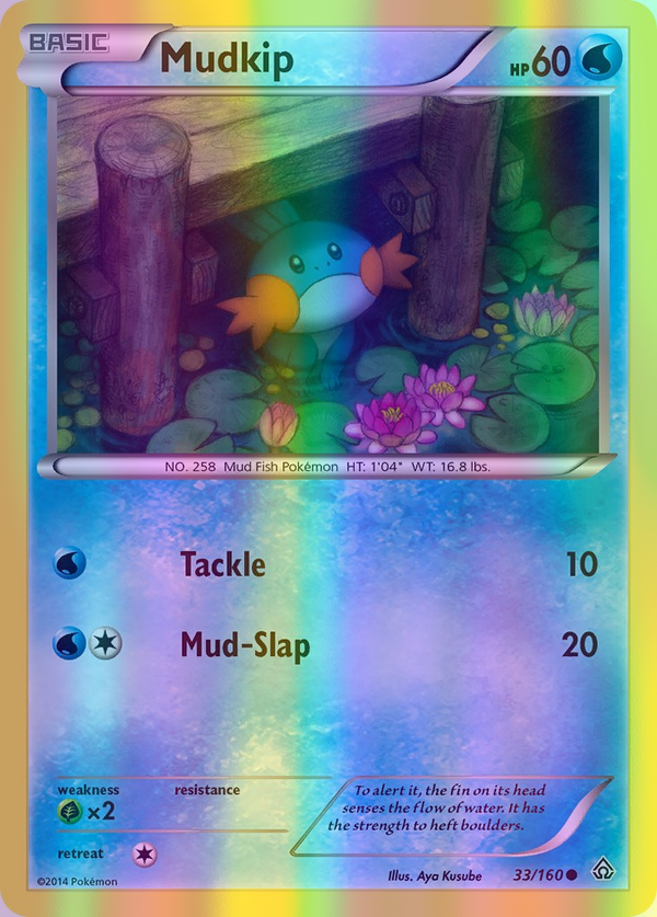 Mudkip - 033/160 (PRC) Common - Near Mint Reverse Holofoil