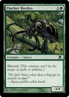 Pincher Beetles (10E-C)