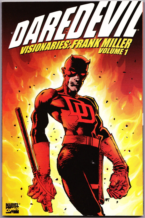 DAREDEVIL VISIONARIES TP (USED)