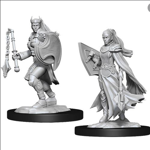 D&D: Nolzur's Marvelous Miniatures - Kalashtar Cleric Female (90233)