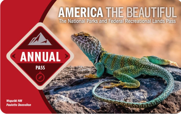 Helene Charity Raffle: America the Beautiful Annual Park Pass ($80 Value)