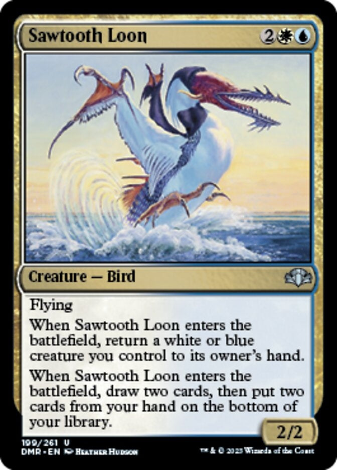 Sawtooth Loon (DMR-U)