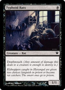 Typhoid Rats (ISD-C)