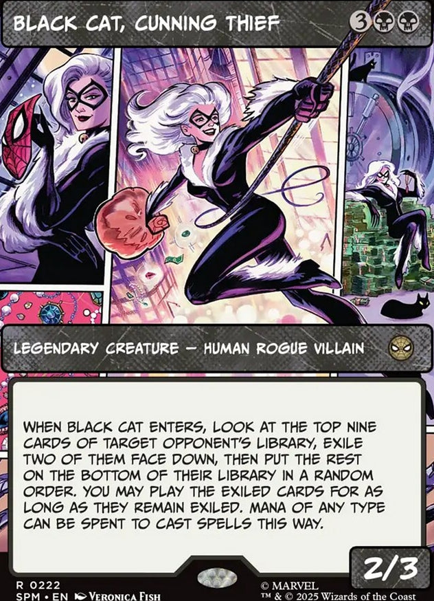 Black Cat, Cunning Thief [ #0222 Borderless ] (SPM-R)