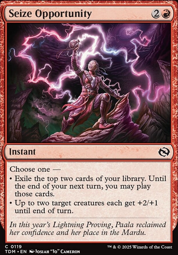 Seize Opportunity [ #0119 ] (TDM-C)