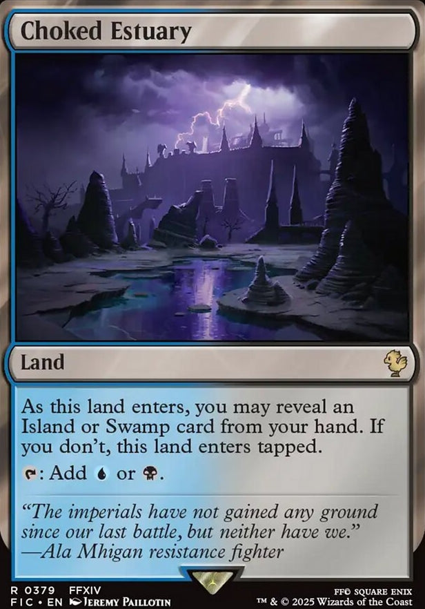 Choked Estuary [ #0379 ] (FIC-R)