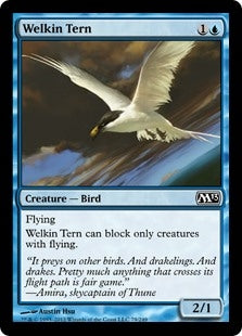 Welkin Tern (M13-C)