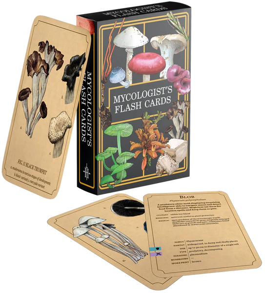 Mycologist's Primer: Flash Cards