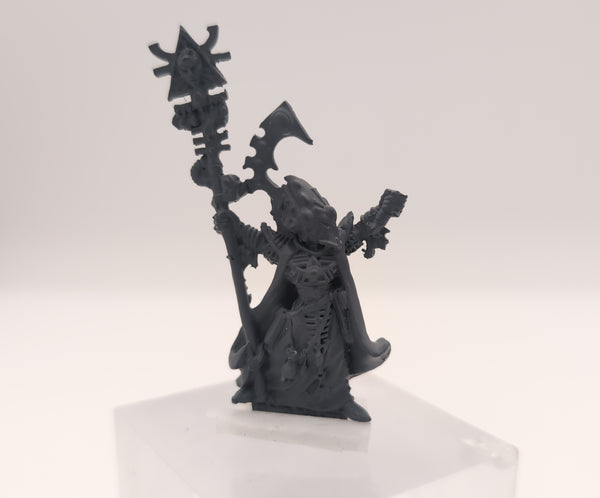 40K: Aeldari Farseer (USED, Resin) [Lot #1]