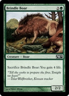 Brindle Boar (M12-C)