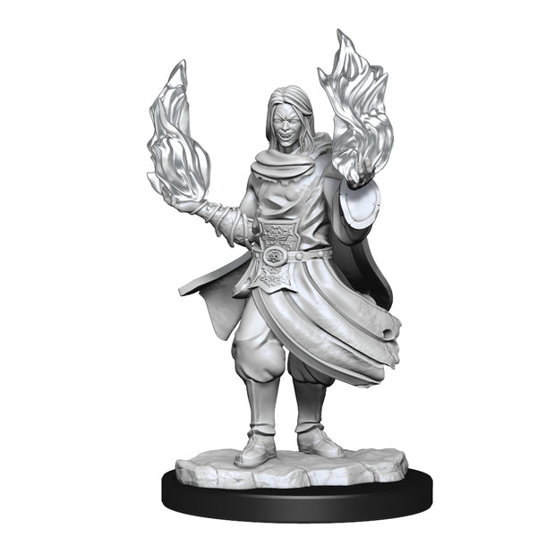 Critical Role: Unpainted Miniatures - Hollow One Rogue and Sorceror Male W1