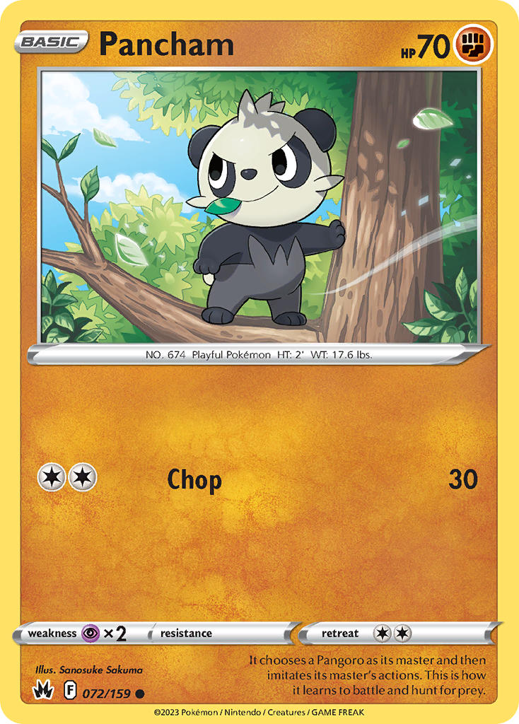 Pancham - 072/159 (CRZ) Common -  Near Mint