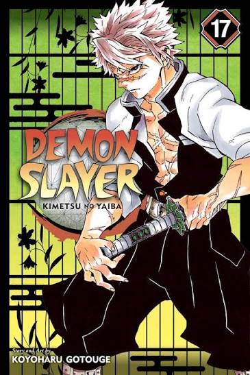 DEMON SLAYER KIMETSU NO YAIBA GN VOL 17 (USED)