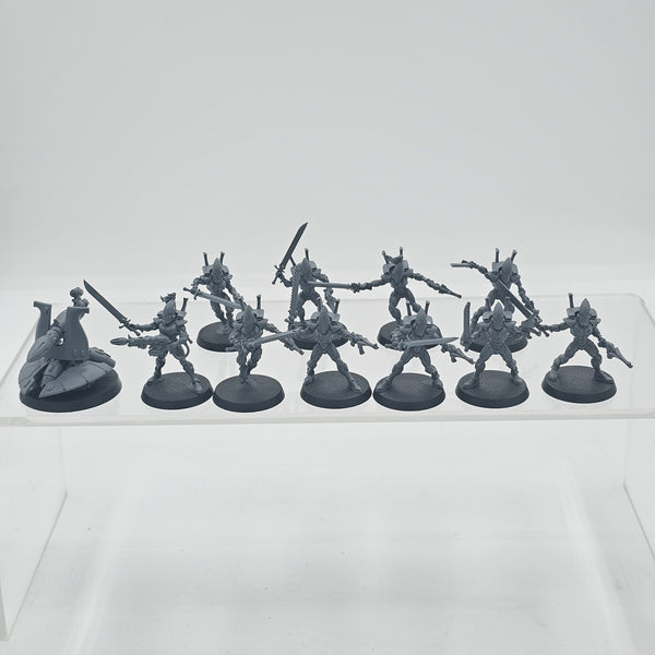 40K: Aeldari - Guardian Defenders (USED)