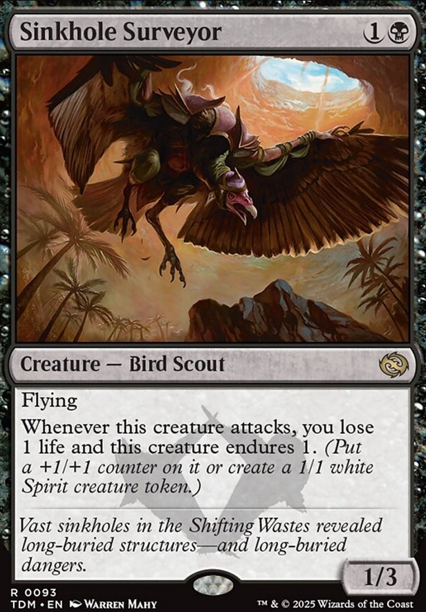 Sinkhole Surveyor [ #0093 ] (TDM-R)